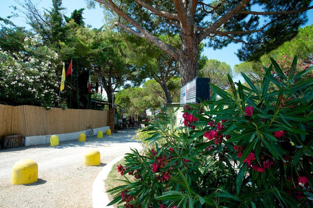 Camping Piper Puntone di Scarlino Extérieur photo